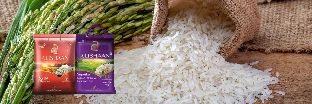 A Legacy of Excellence Meets a Vision for the Future